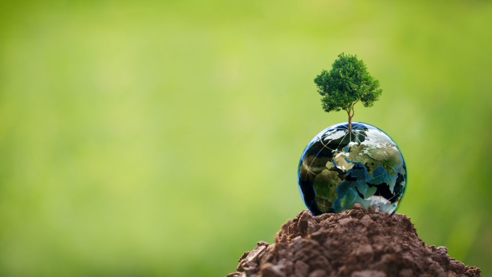 Référent RSE Impact